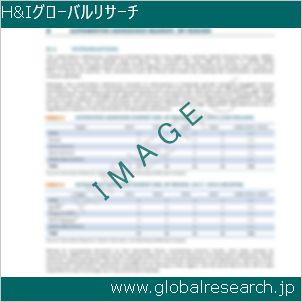グローバルリサーチ調査レポートのイメージ